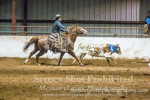 IMG_7908