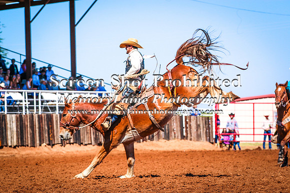 IMG_4018-2
