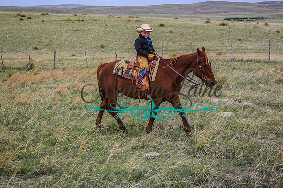 IMG_0206