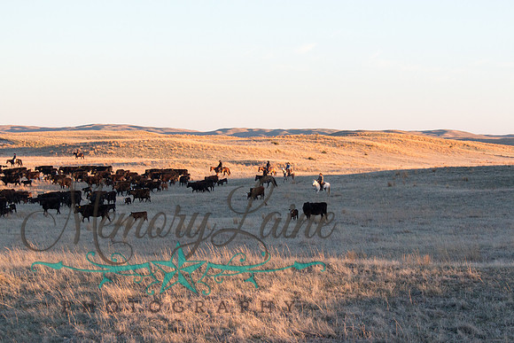 IMG_4962