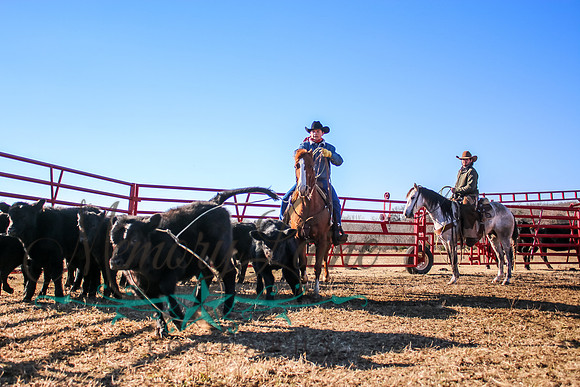 IMG_7430