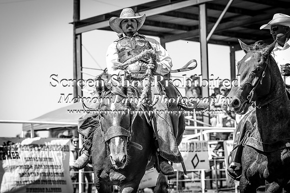 IMG_4032-2