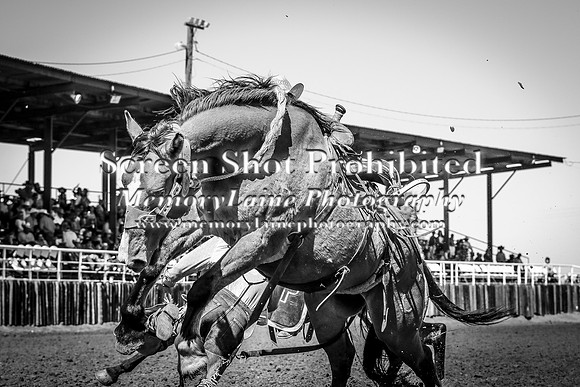 IMG_4008-2